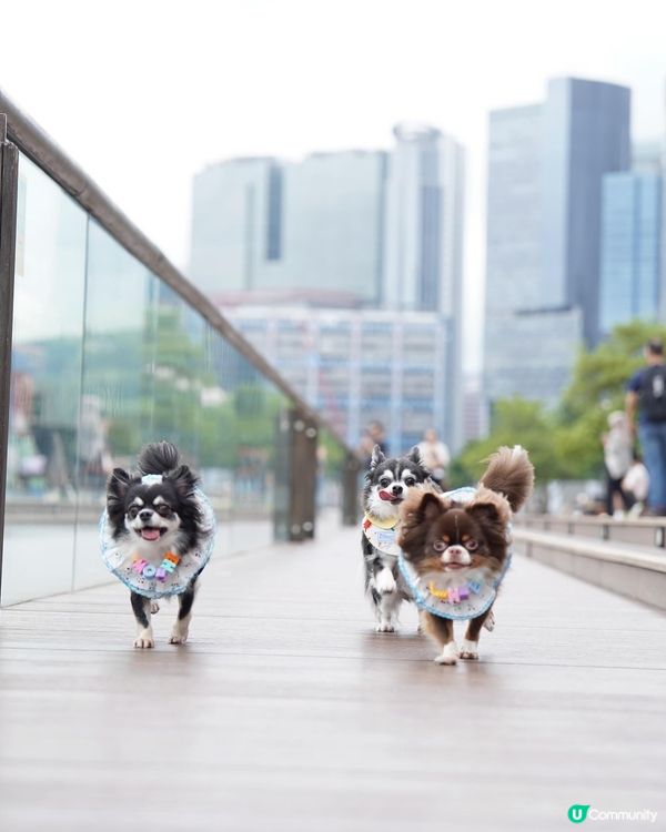 假日的小確幸💕