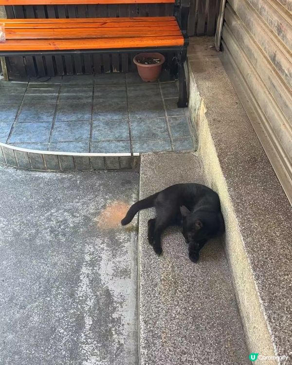 九份由來