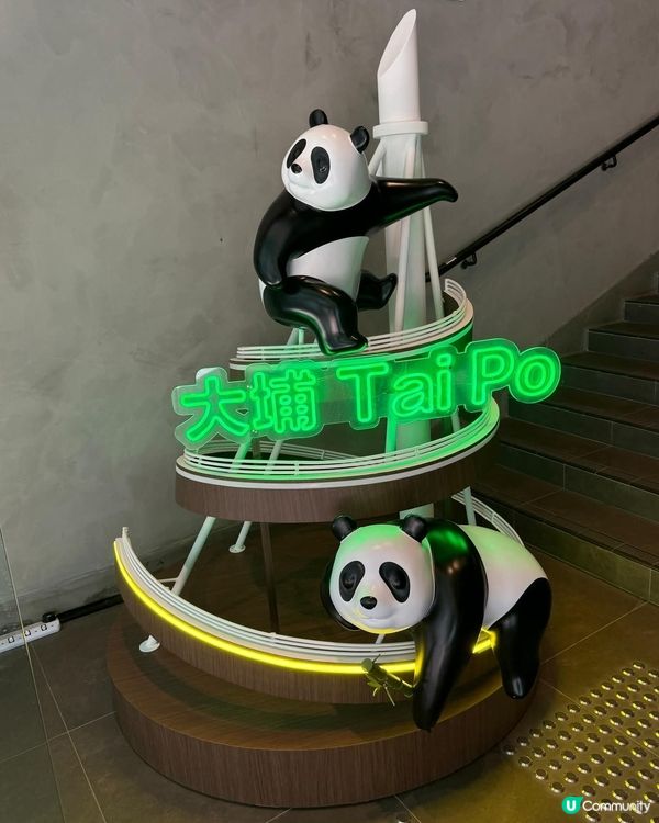 熊貓回歸大埔🐼