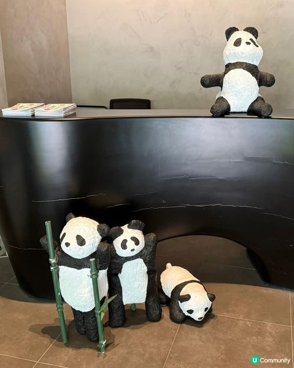 熊貓回歸大埔🐼