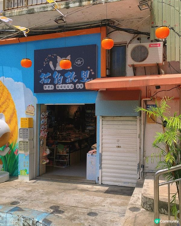 福建｜理想版💭廈門1日遊攻略🏝️