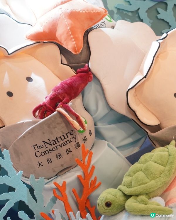 【探索香港海底秘密🤿！蠔礁展覽必去！】