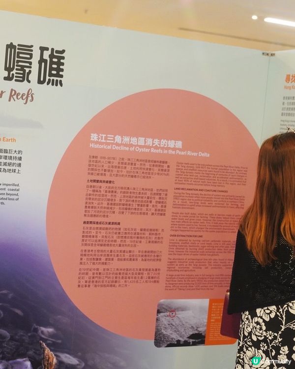 【探索香港海底秘密🤿！蠔礁展覽必去！】