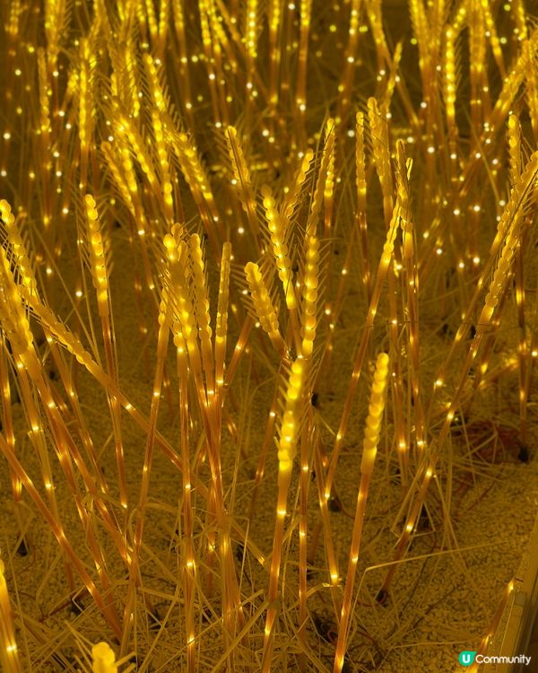 【珠海必去熱點】梵高迷必衝！沉浸式星空藝術館！