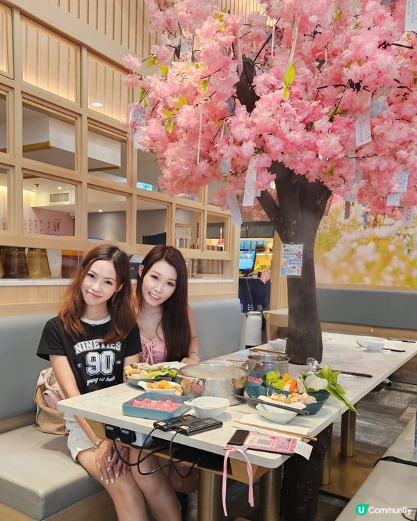 櫻花樹下打邊爐🌸！天水圍別忘了！😋