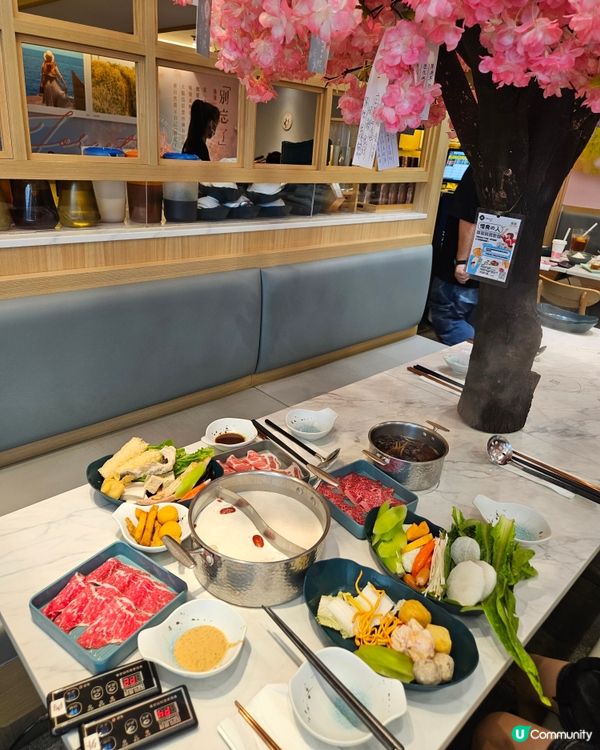 櫻花樹下打邊爐🌸！天水圍別忘了！😋