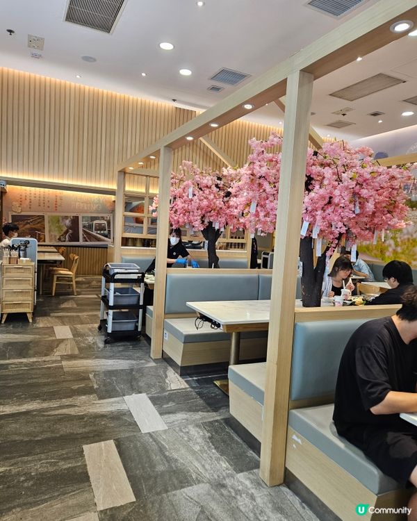 櫻花樹下打邊爐🌸！天水圍別忘了！😋