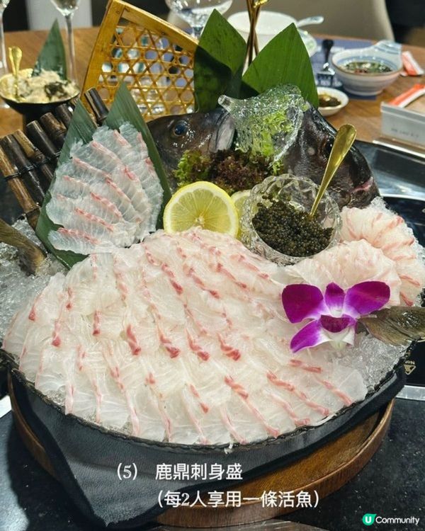 鹿角靈芝湯底 高質養生火鍋