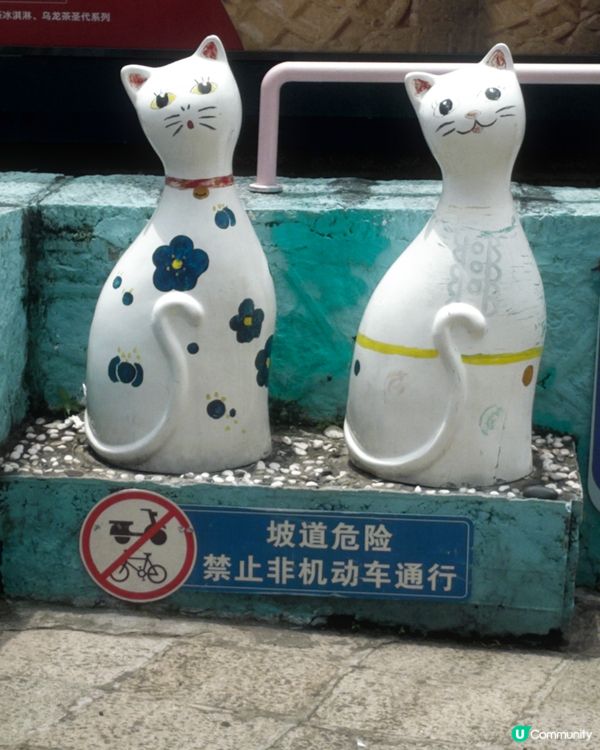 福建｜現實版廈門1日遊行程攻略🧳