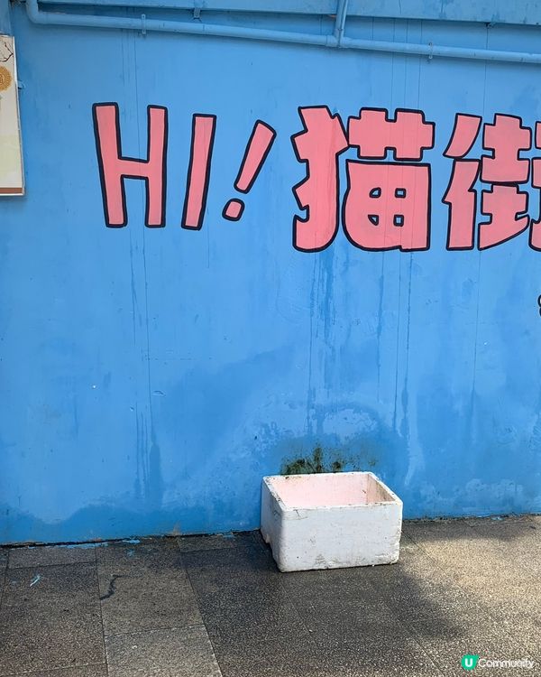 福建｜現實版廈門1日遊行程攻略🧳