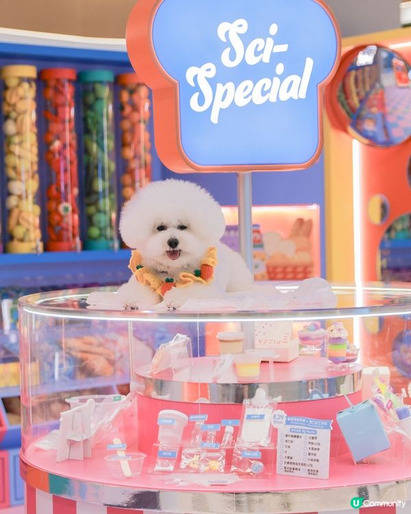 帶狗玩轉科學園👨🏼‍🔬 人寵一日遊