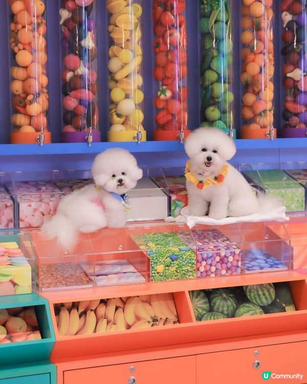 帶狗玩轉科學園👨🏼‍🔬 人寵一日遊