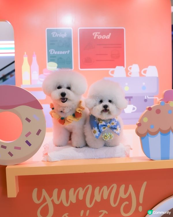 帶狗玩轉科學園👨🏼‍🔬 人寵一日遊