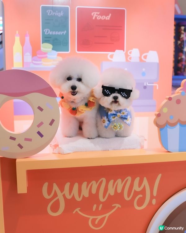 帶狗玩轉科學園👨🏼‍🔬 人寵一日遊