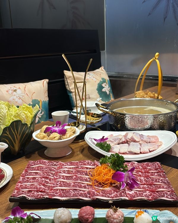 鹿鼎薈養生邊爐🤤！靈芝雞煲超正！🥥🐔