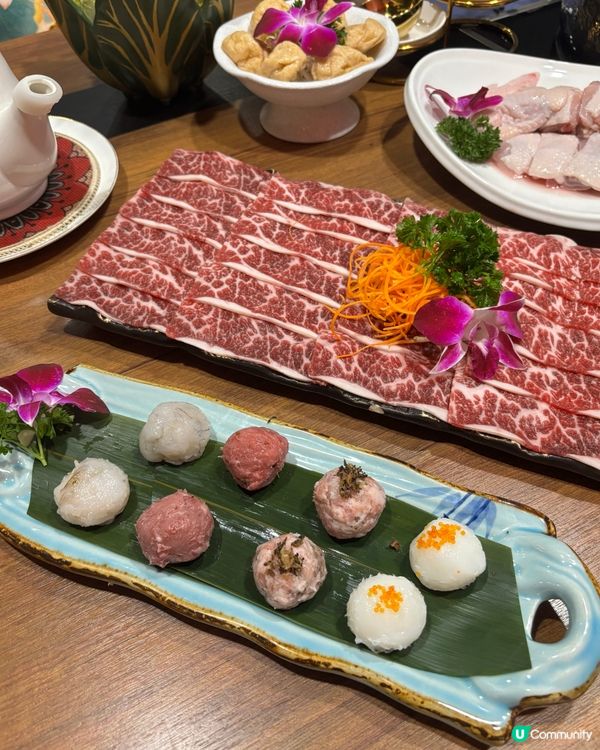 鹿鼎薈養生邊爐🤤！靈芝雞煲超正！🥥🐔