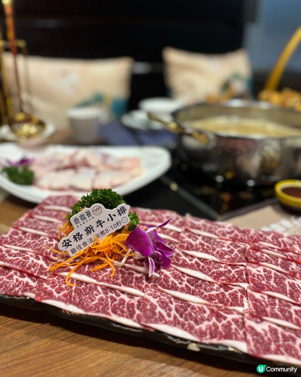 鹿鼎薈養生邊爐🤤！靈芝雞煲超正！🥥🐔