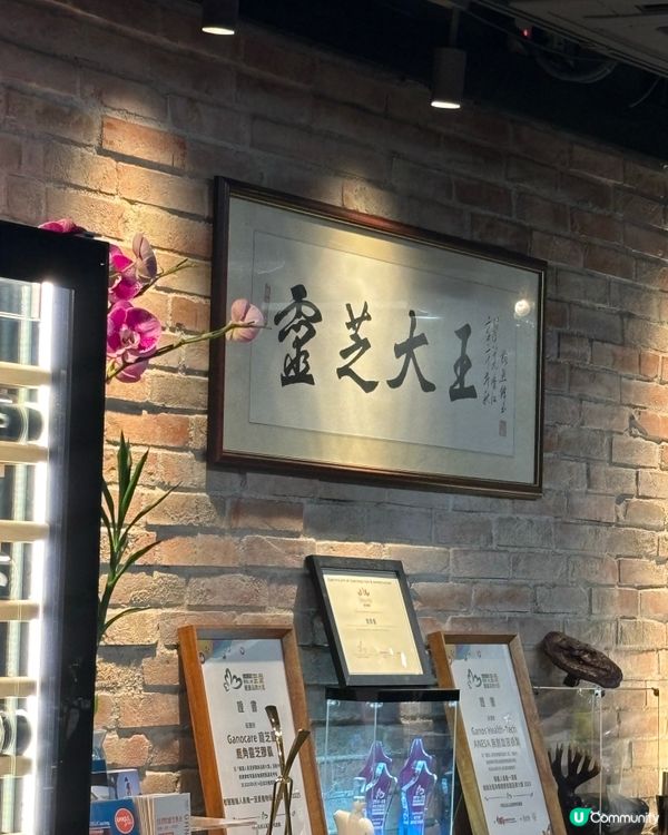 鹿鼎薈養生邊爐🤤！靈芝雞煲超正！🥥🐔