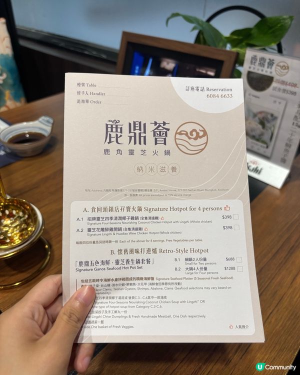 鹿鼎薈養生邊爐🤤！靈芝雞煲超正！🥥🐔