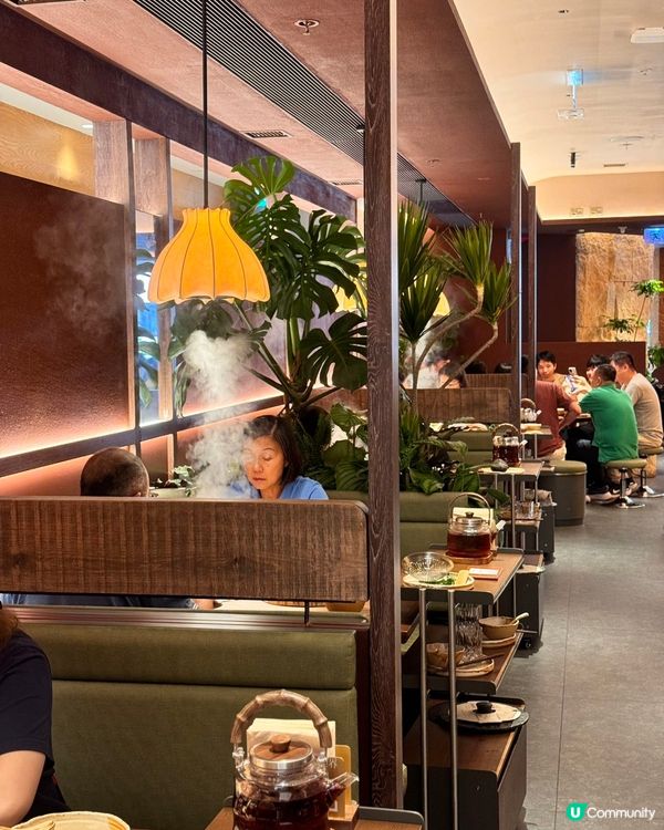 香港蘑界開張！沙田直擊野生菌火鍋🤤🍄 唔洗北上啦！