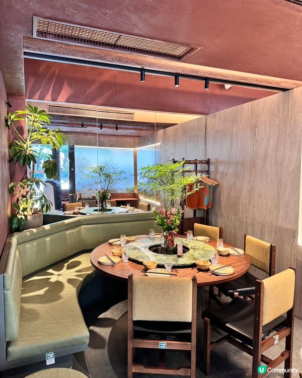 香港蘑界開張！沙田直擊野生菌火鍋🤤🍄 唔洗北上啦！