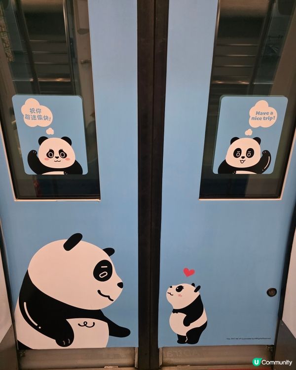 Panda Train
