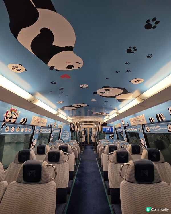 Panda Train