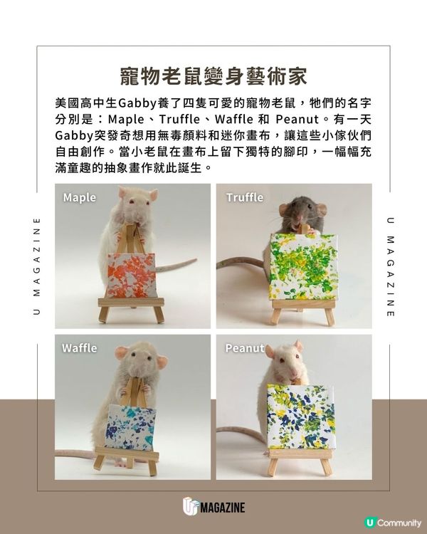 寵物老鼠們的藝術創作？！每一幅都是用獨特的腳印親自完成