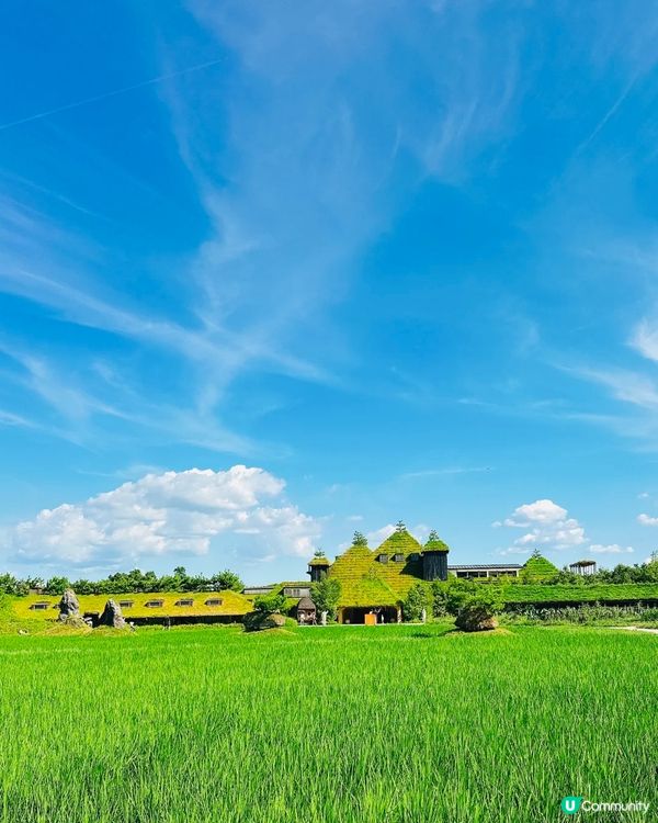 近江八幡打卡及美食攻略📸