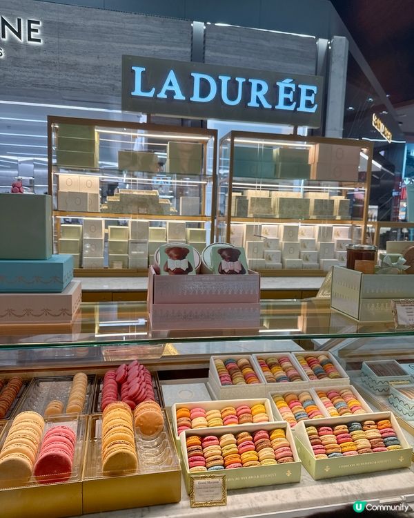法國馬卡龍🤤！香港冇得食💔！