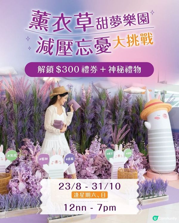 HomeSquare薰衣草甜夢樂園