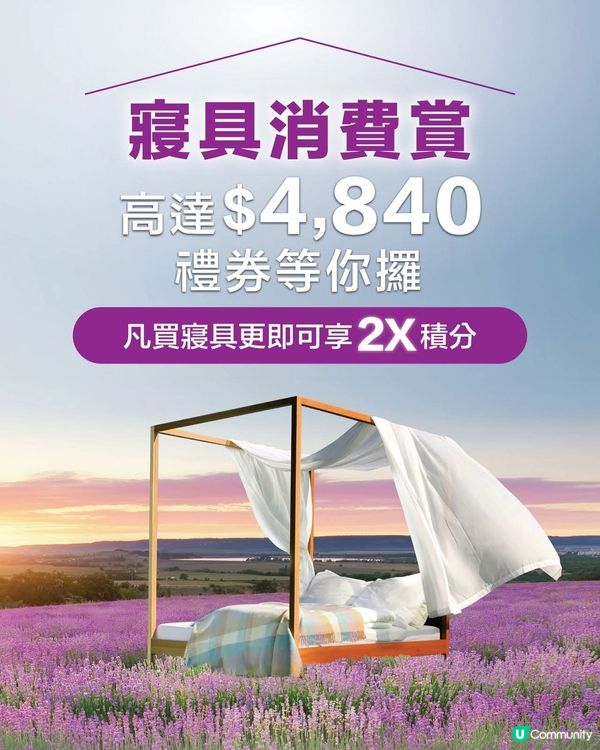 HomeSquare薰衣草甜夢樂園