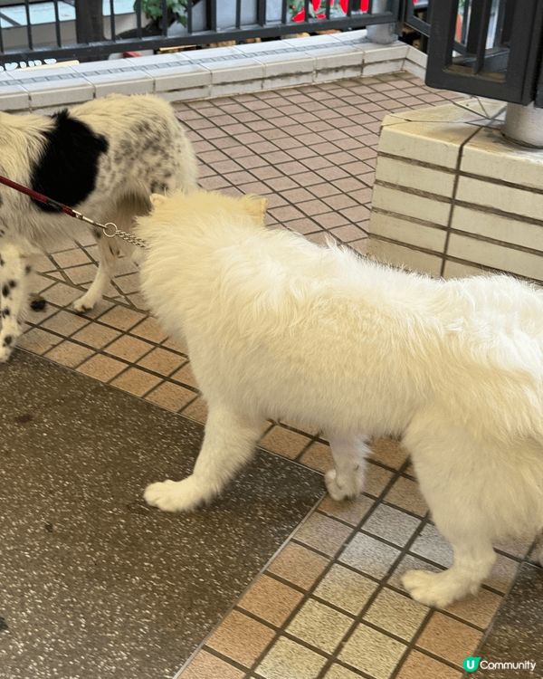 又係辣媽好介紹🤗