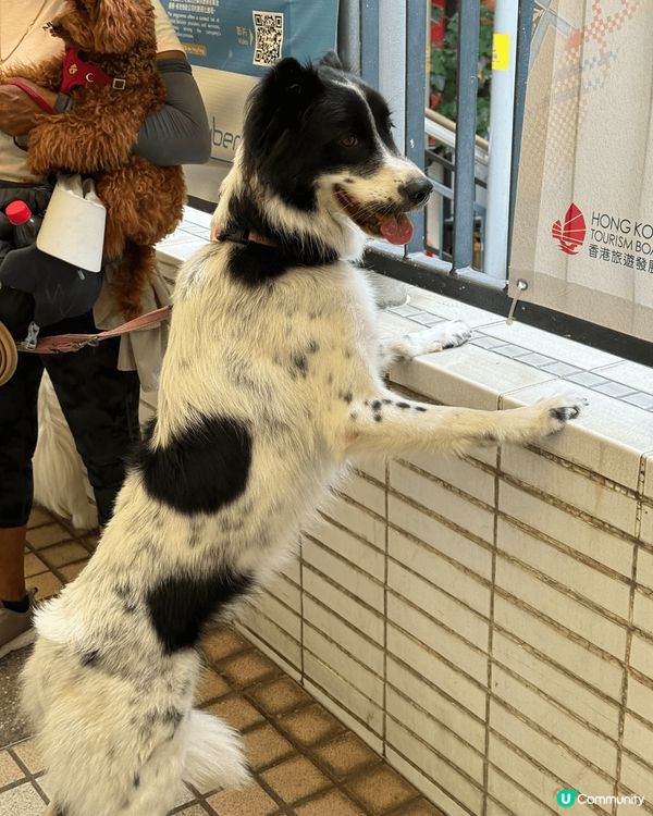 又係辣媽好介紹🤗