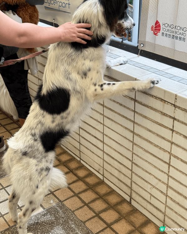 又係辣媽好介紹🤗