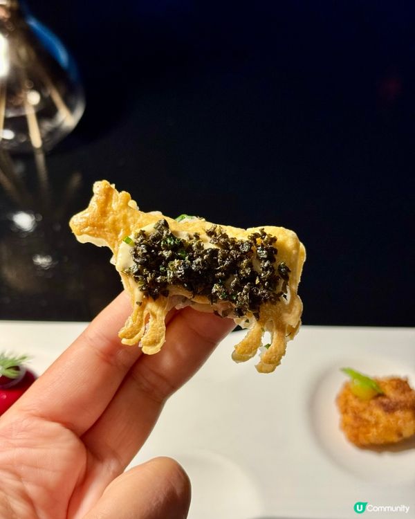 望住維港海景食法國餐6道菜 先人均1000😍