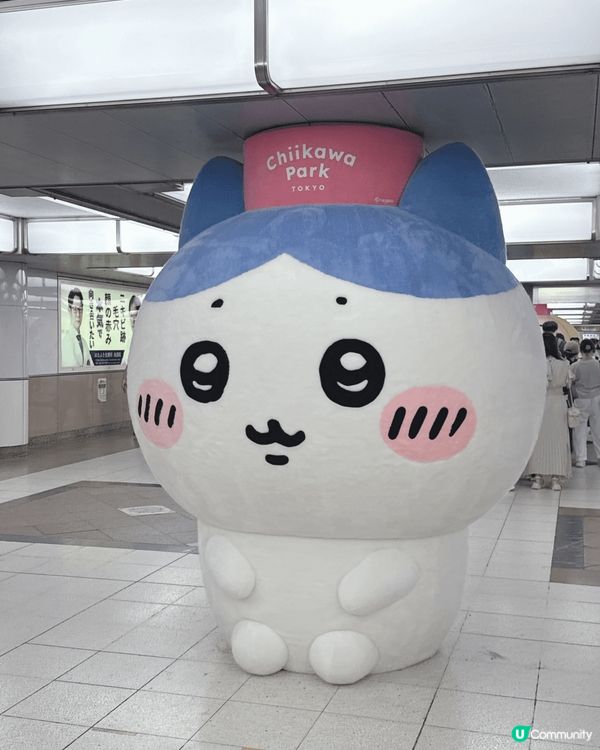 今年旅行，撞啱有Chiikawa Park，點可以放過呢，一...