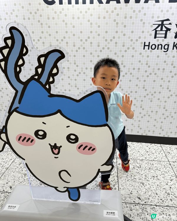 夏日🏝️🛟Chiikawa 精品集🛟《多圖》