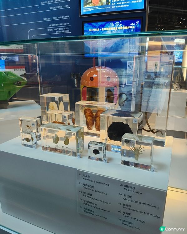 國安展覽