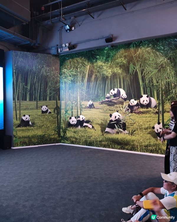 國安展覽