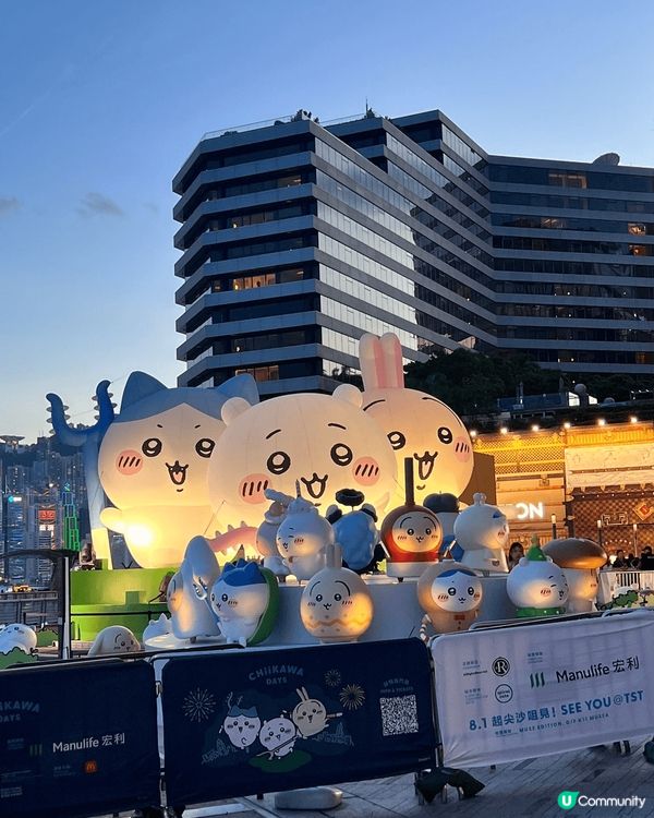 CHIIKAWA 好可愛, 可以黎到香港真係好開心! 香港最...