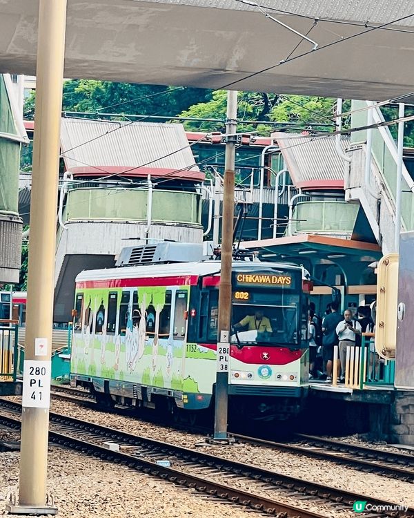 CHIIKAWA 好可愛, 可以黎到香港真係好開心! 香港最...