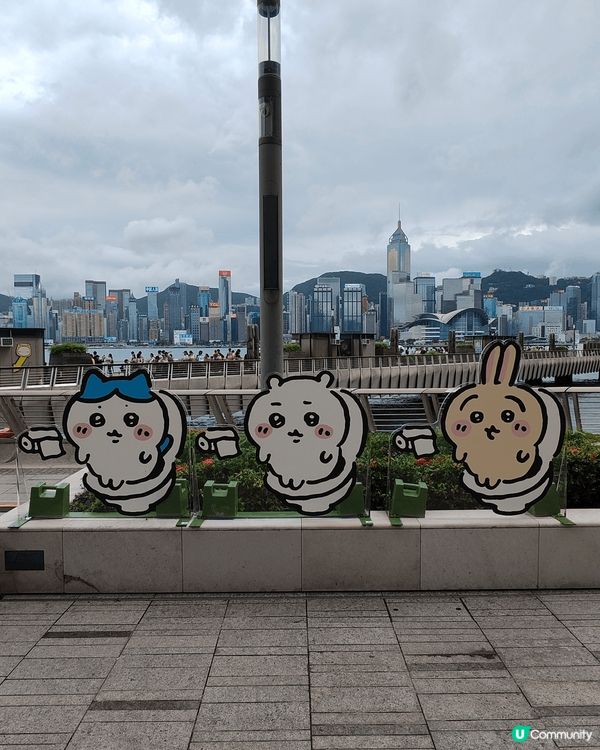 我想去全港首個熱氣球節～ #維港熱氣球之旅 #UCreato...