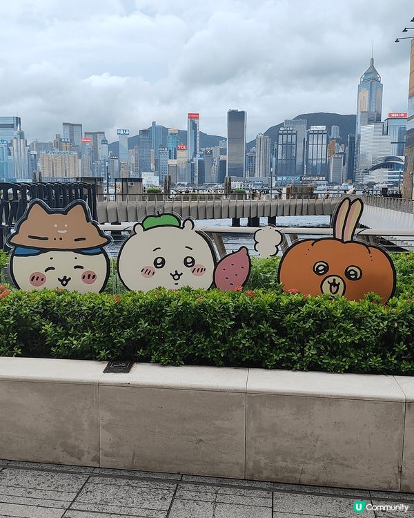 我想去全港首個熱氣球節～ #維港熱氣球之旅 #UCreato...