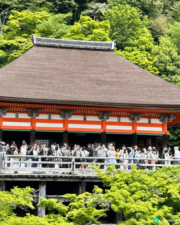 日本🇯🇵⛩️五日四夜充實之旅✈️