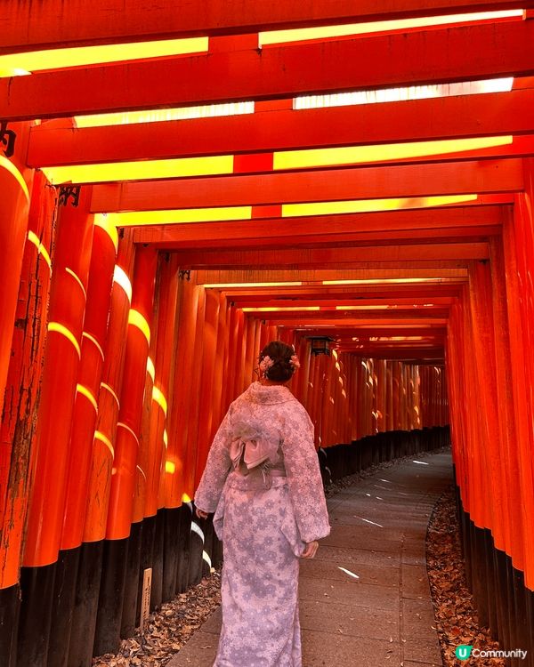 日本🇯🇵⛩️五日四夜充實之旅✈️