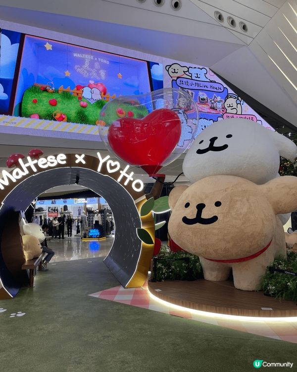 我想去全港首個熱氣球節～ #維港熱氣球之旅 #UCreato...