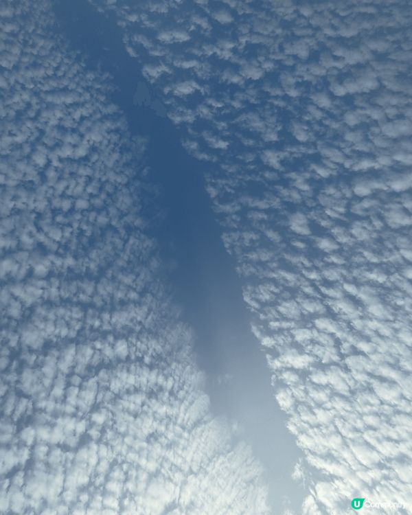 我想去全港首個熱氣球節～ #維港熱氣球之旅 #UCreato...