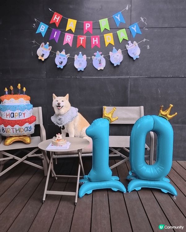 我想去全港首個熱氣球節～ #維港熱氣球之旅 #UCreato...