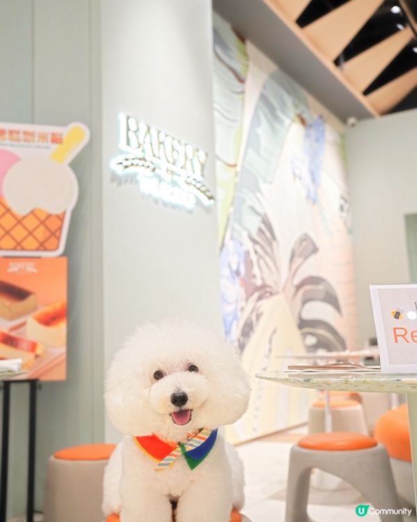 灣仔合和新商場 寵物友善食店 但性價比低🙃